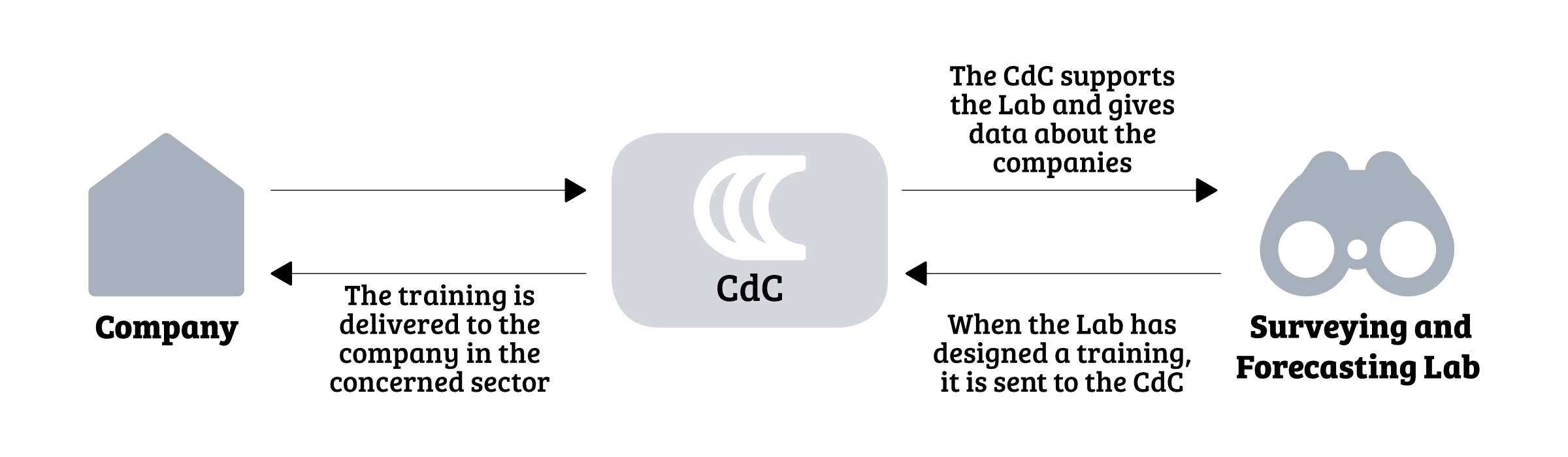 The delivery part of the proposed new roles of the CdC