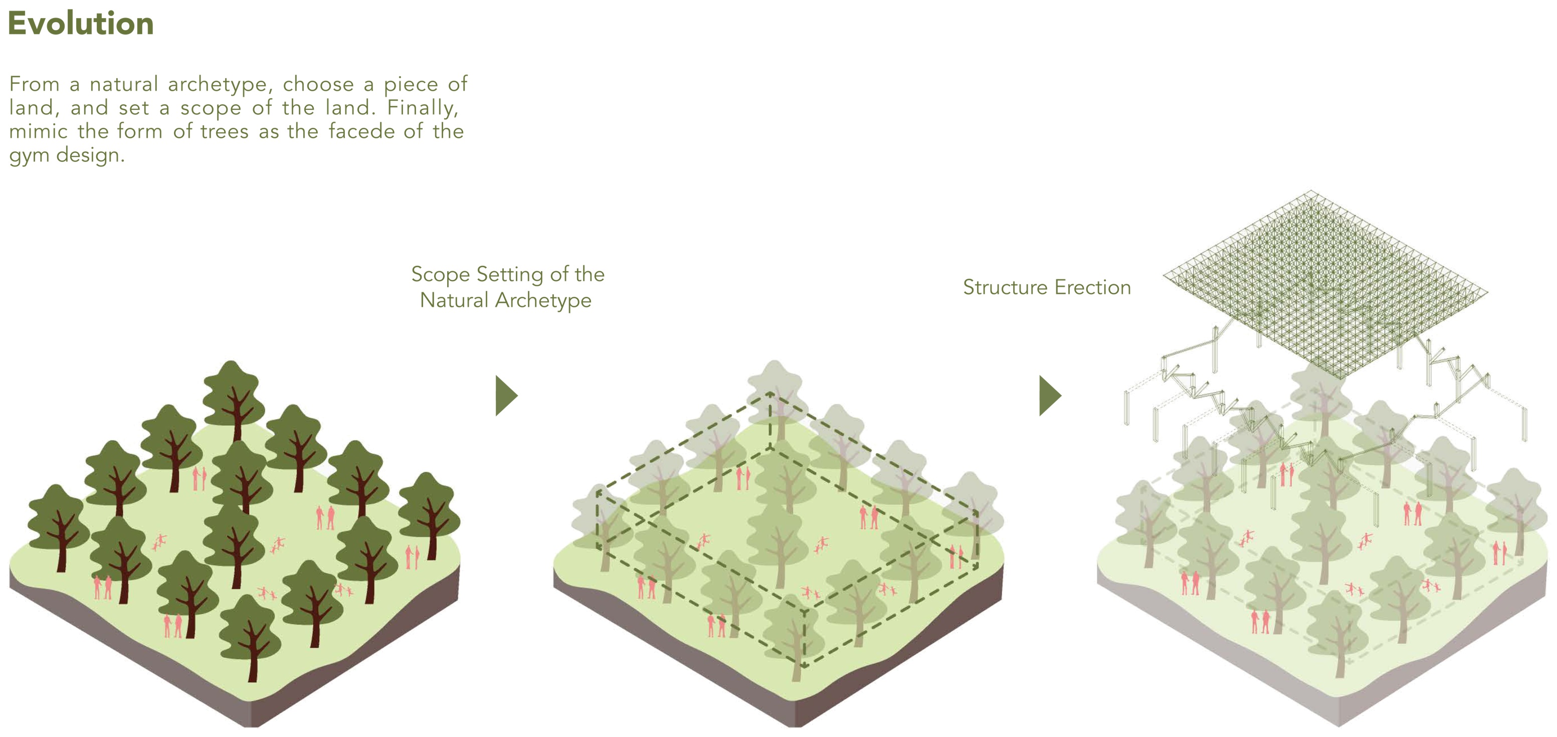 Three-stage concept diagram moving from a grove of trees to a defined footprint and then a roof supported by tree-form columns