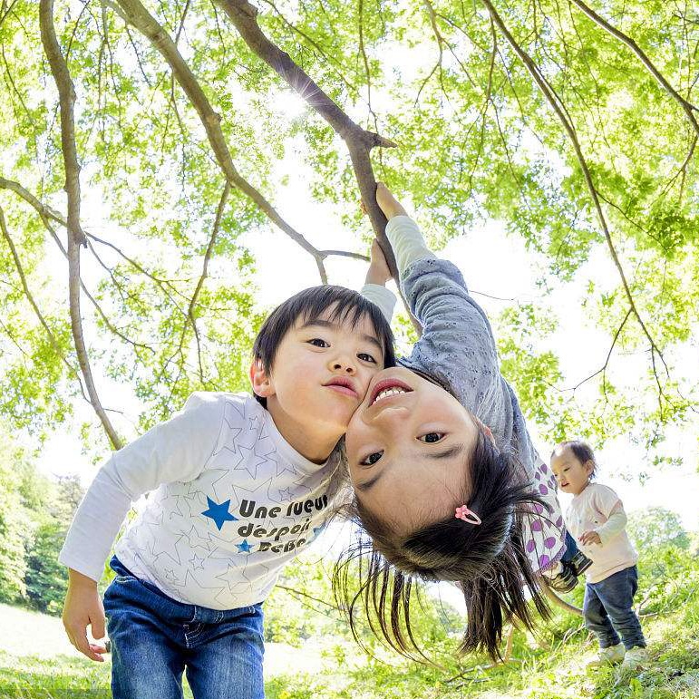 Reference photograph from the original portfolio of children playing beneath leafy trees